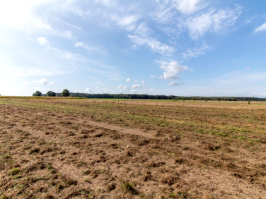 Działka Sieraków Śląski