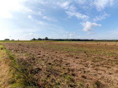 Działka Sieraków Śląski