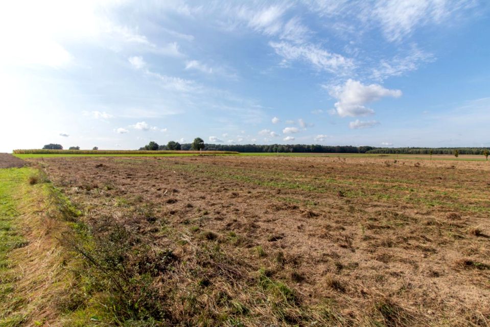 Działka Sieraków Śląski