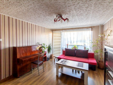 Mieszkanie przy lesie