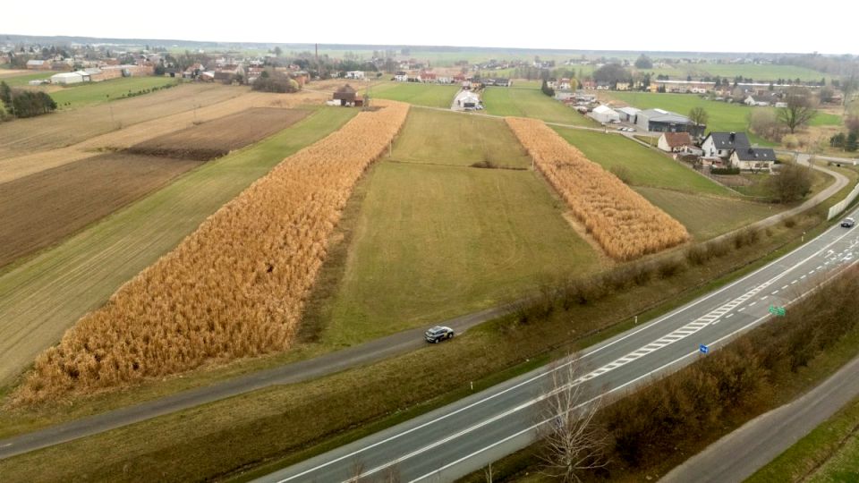 Działka Dobrodzień