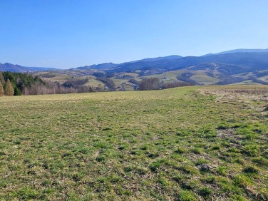 Działka budowlana Stary Sącz