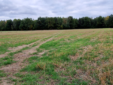 Działka budowlana Sarnów