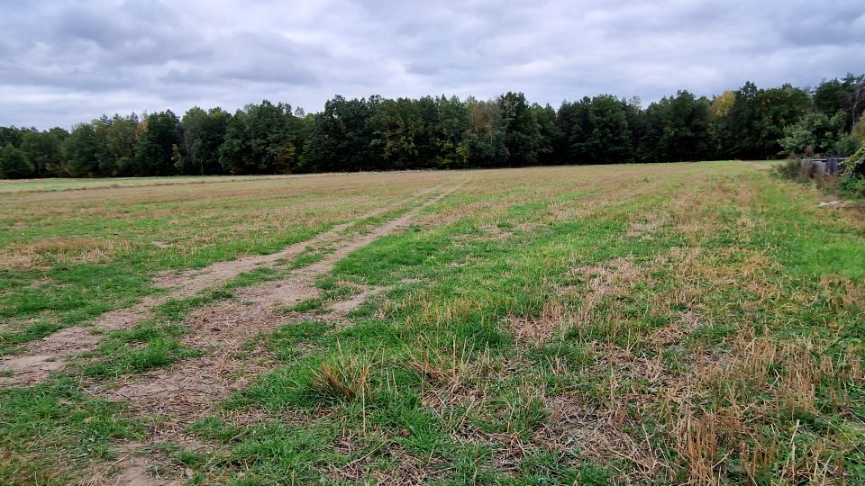 Działka budowlana Sarnów