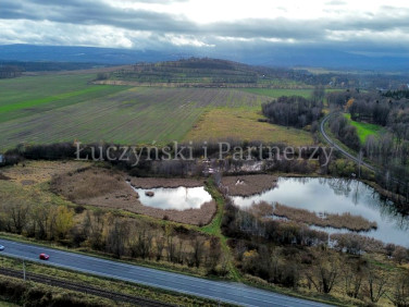 Działka rolna Krzewie Wielkie
