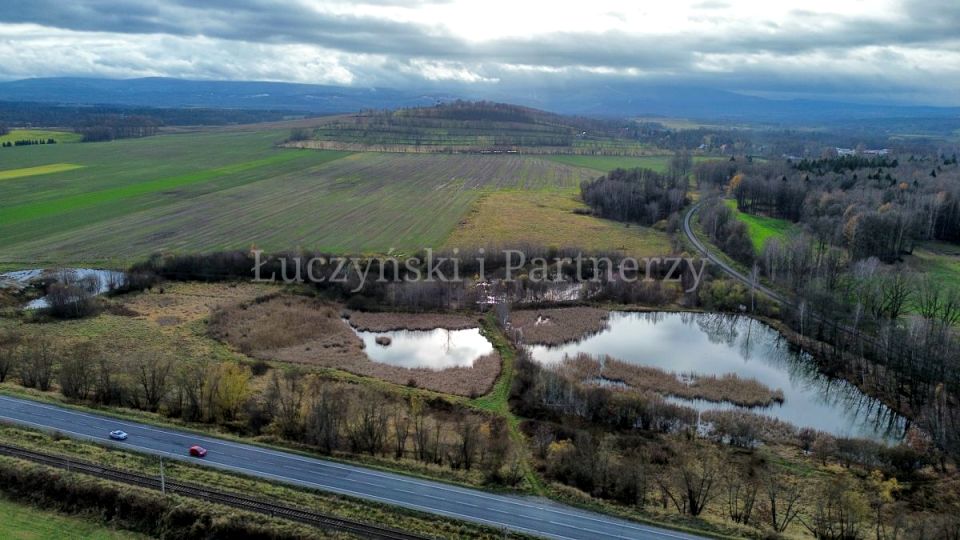 Działka rolna Krzewie Wielkie