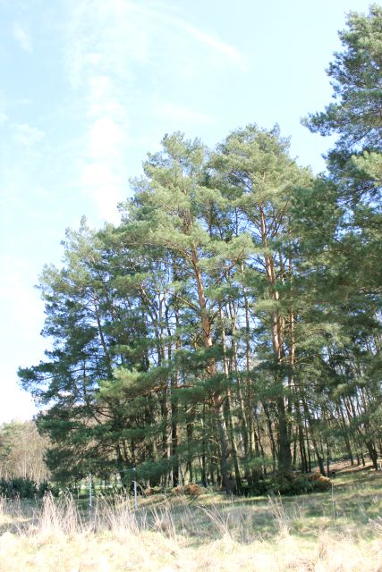 Działka budowlana Gorzów Wielkopolski