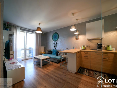 Mieszkanie Zielona Góra wynajem