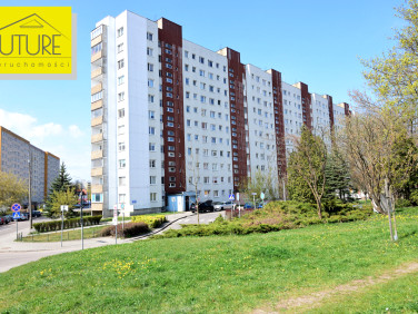 Mieszkanie Elbląg wynajem