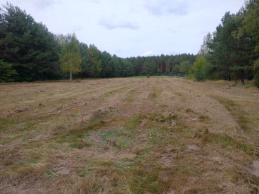 Działka budowlana Szymanówek sprzedam