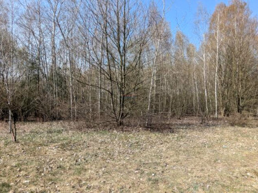 Działka budowlana Kotorydz