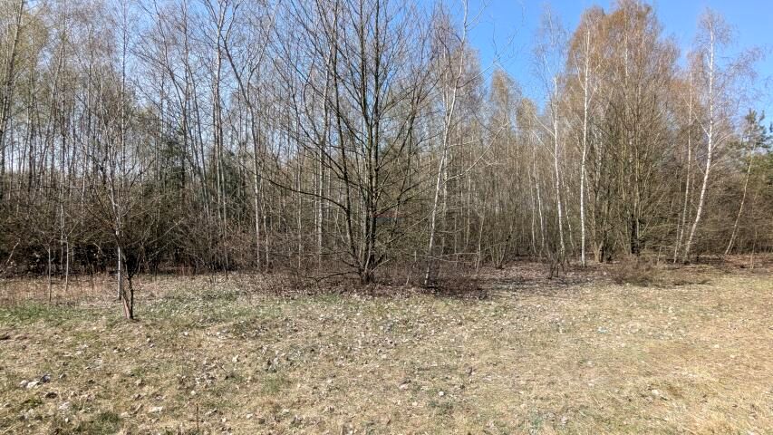 Działka budowlana Kotorydz