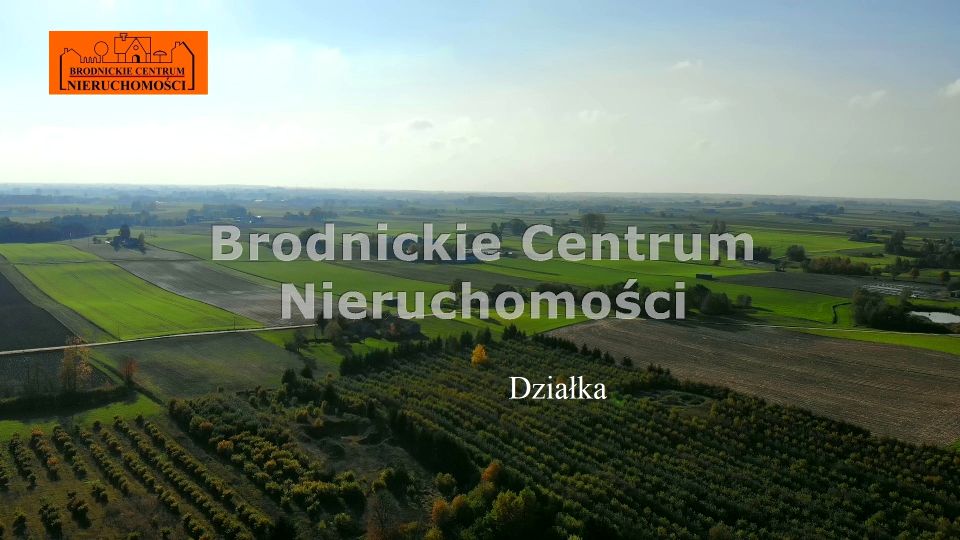 Zdjęcie 2