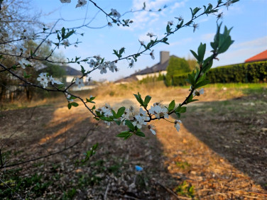 Działka budowlana sprzedam