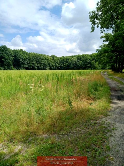 Działka inna Dębina