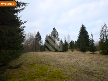 Działka budowlana Nowy Dwór