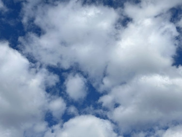 Działka rolna Piastowice