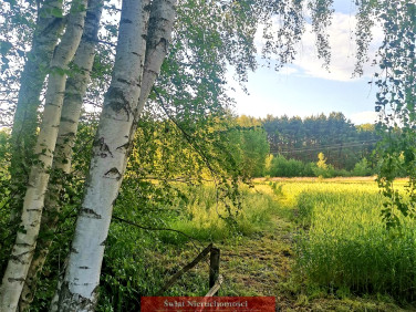 Działka rolna Skoroszów