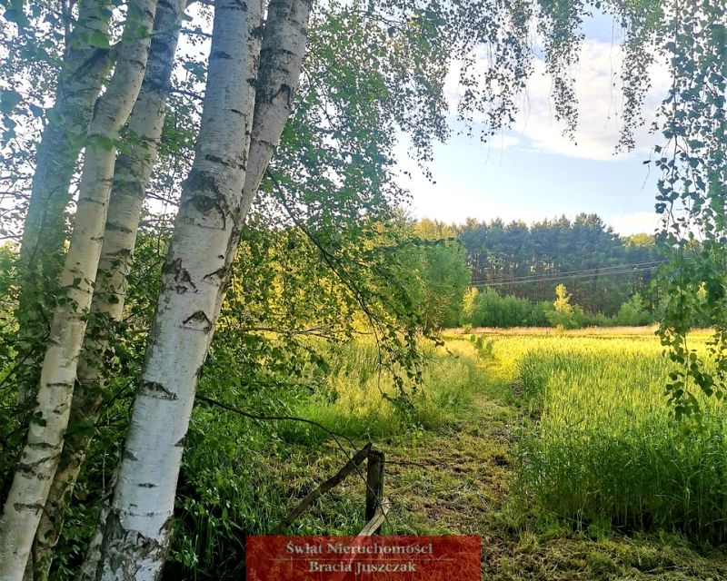 Działka rolna Skoroszów