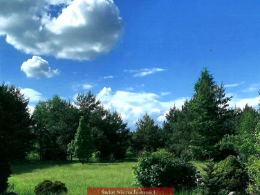 Działka budowlana Sosnówka