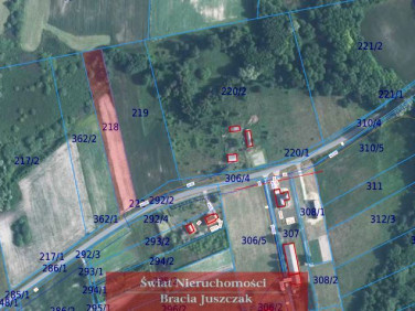 Działka rolna Siedliszcze