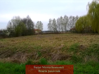 Działka Siechnice