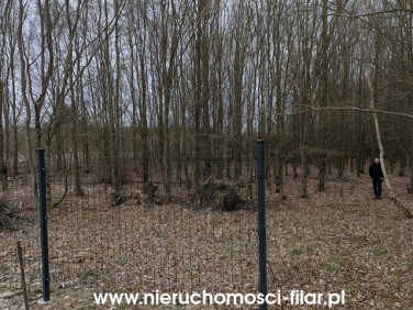 Działka rekreacyjna Wierzchucinek