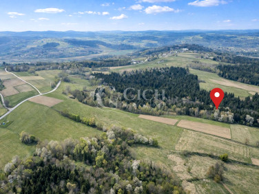 Działka leśna Ostrusza