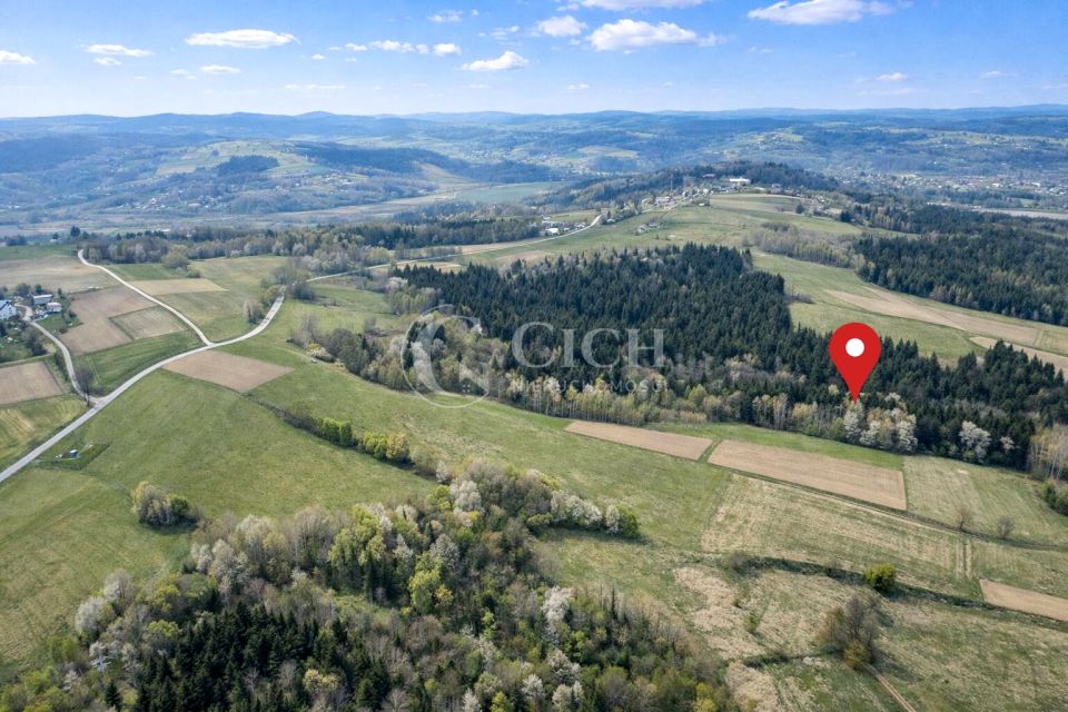 Działka leśna Ostrusza