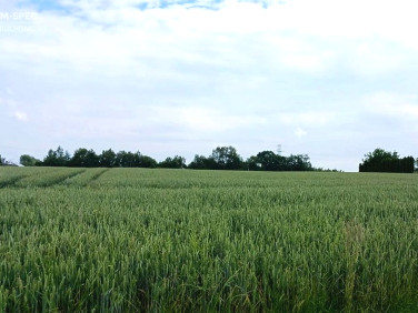 Działka budowlano-rolna Świerklany