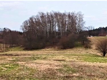 Działka budowlano-rolna Jastrzębie-Zdrój