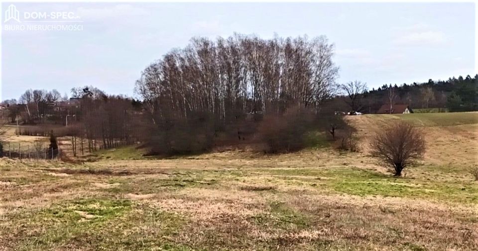 Działka budowlano-rolna Jastrzębie-Zdrój