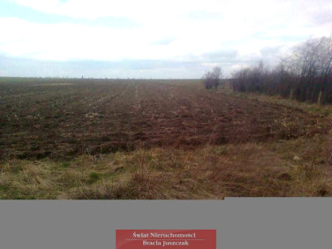 Działka budowlana Osiek