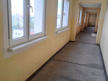 Lokal Wrocław