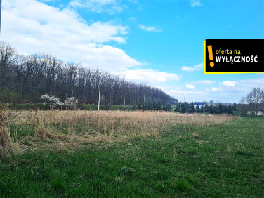 Działka budowlana Łubnice