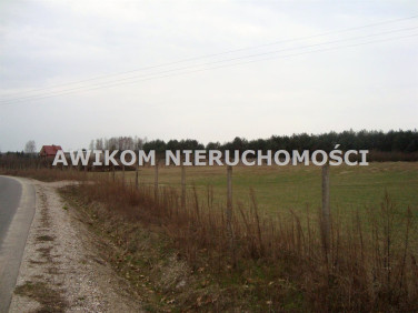 Działka budowlana Many