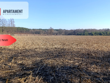 Działka rolna Bukowice