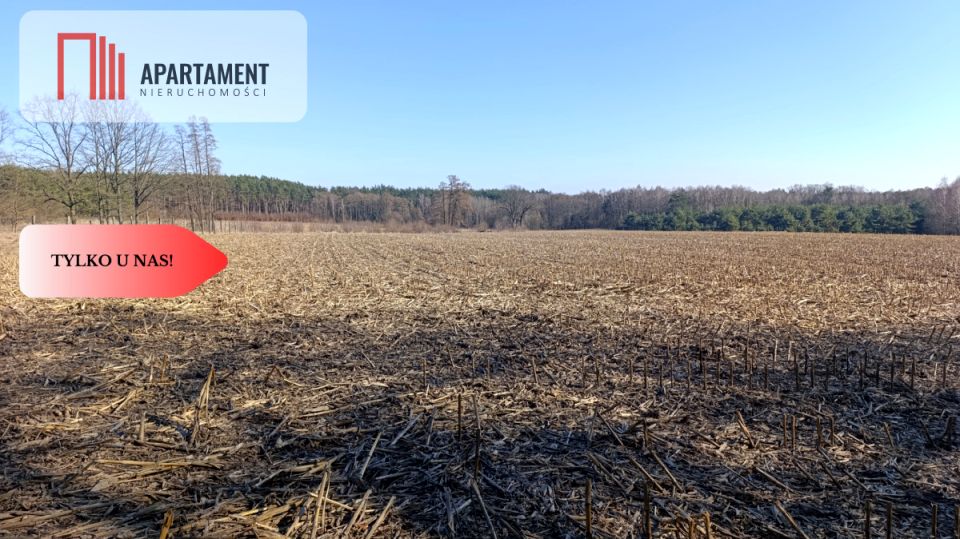 Działka rolna Bukowice