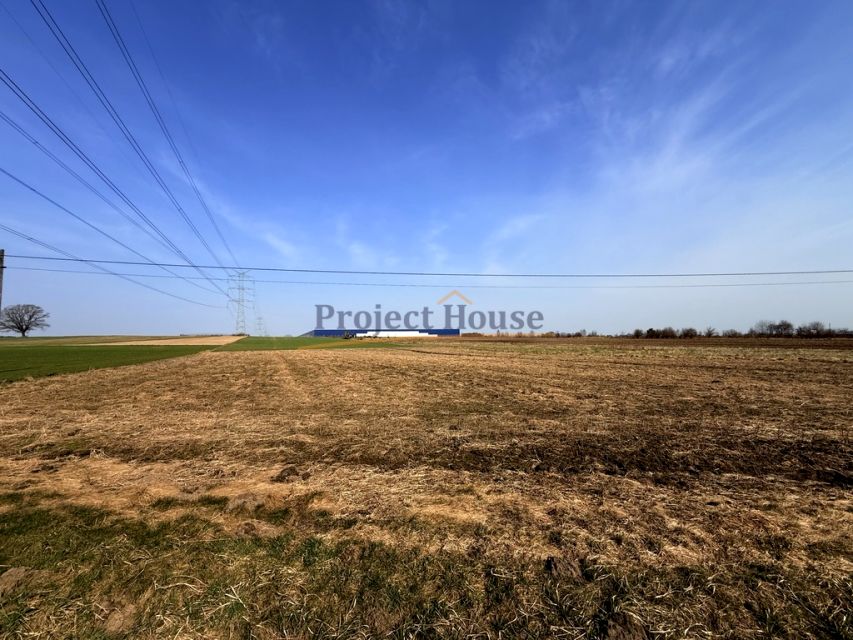 Działka usługowa Kruszów