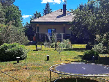 Dom Kościuki sprzedaż