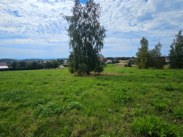 Działka usługowa Bębło