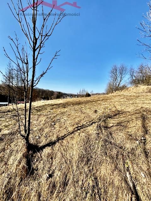 Działka inna Izdebki