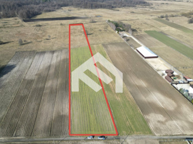 Działka rolna Ducka Wola