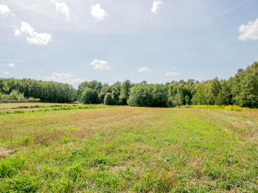 Działka siedliskowa Poręba Radlna