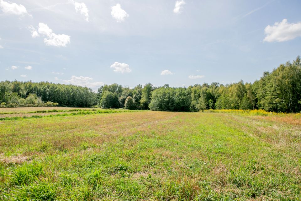 Działka siedliskowa Poręba Radlna