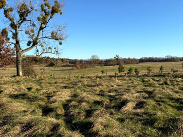 Działka GARDNA WIELKA