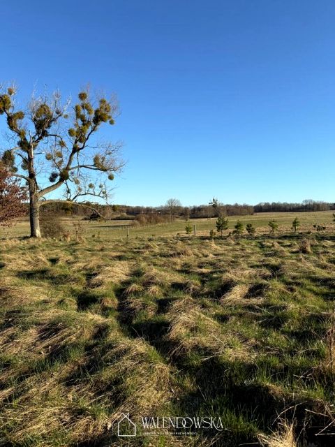 Działka GARDNA WIELKA