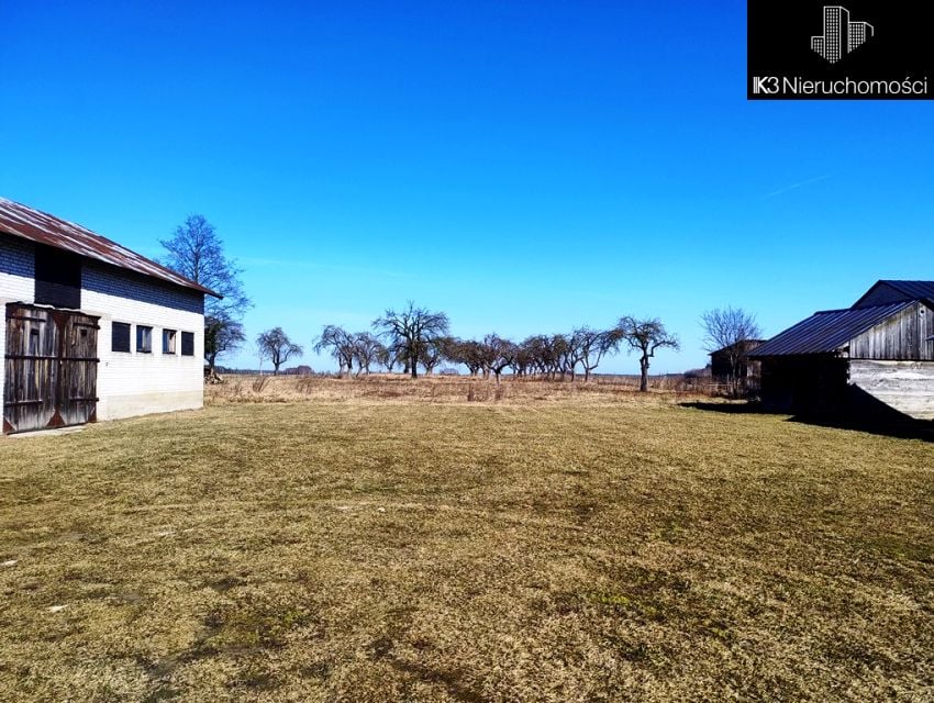 Zdjęcie 3