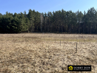 Działka budowlana Koźliki sprzedam
