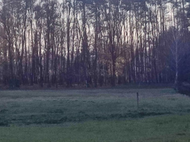 Pusta działka Krasiejów